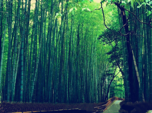 曾经年少轻狂的我,被一时错误的选择所迷惑(1)_WWW.AIGEXING.COM