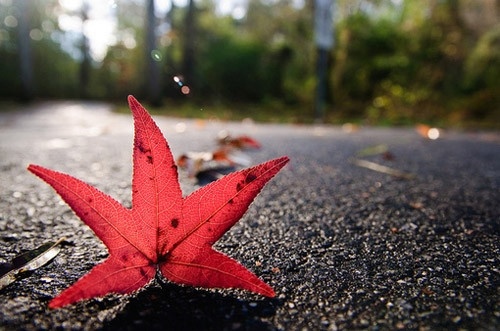 七个的网名霸气网名个性网