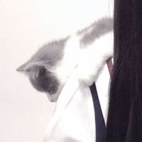 属鼠的发财微信头像 健康快乐(20)