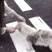 情侣头像古风穿嫁衣男女一对(18)