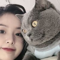 手机微信头像怎么透明