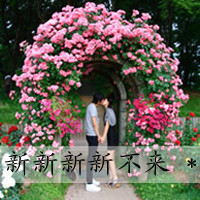 头像女生文字图片大全(3)