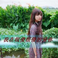 微信带字的爱情头像图片大全唯美(19)