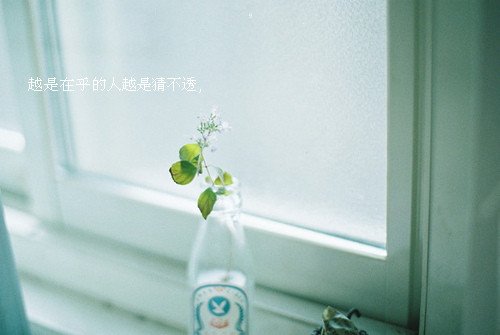 ˸ŮͼƬٿ࣬ҲҪڳ۵Ц(8)_WWW.AIGEXING.COM