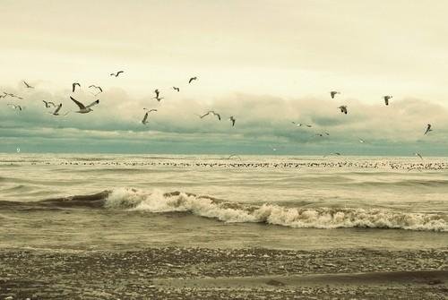 ΨͼƬһһŮ Ҹ(11)_WWW.AIGEXING.COM
