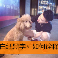 qq冷酷女生头像带字(18)