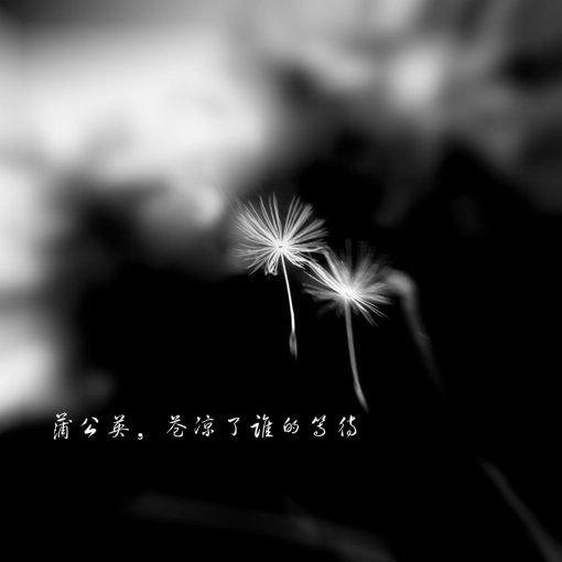 į˸дֵǷͼƬռڻû(1)_WWW.AIGEXING.COM