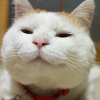 ЦèͷͼƬ(43)_WWW.AIGEXING.COM