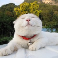ЦèͷͼƬ(40)_WWW.AIGEXING.COM