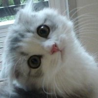 ЦèͷͼƬ(11)_WWW.AIGEXING.COM