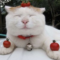 ЦèͷͼƬ(22)_WWW.AIGEXING.COM