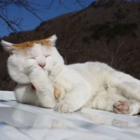 ЦèͷͼƬ(23)_WWW.AIGEXING.COM