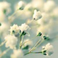 ΨQQͷͼƬ(8)_WWW.AIGEXING.COM