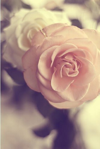 ƯҰΨͼƬҵů֪컹(10)_WWW.AIGEXING.COM