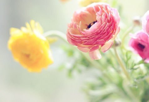 ƯҰΨͼƬҵů֪컹(15)_WWW.AIGEXING.COM