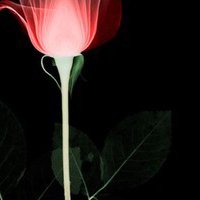 ŮͷͼƬ(5)_WWW.AIGEXING.COM