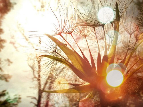 ĺ۵Ŀռ˵˵ͼƬ(1)_WWW.AIGEXING.COM