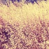 ķ羰ͼͷ(10)_WWW.AIGEXING.COM