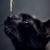 Ȼ֮èèQQͷ(20)_WWW.AIGEXING.COM