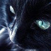 Ȼ֮èèQQͷ(24)_WWW.AIGEXING.COM