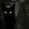 Ȼ֮èèQQͷ(14)_WWW.AIGEXING.COM