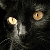 Ȼ֮èèQQͷ(19)_WWW.AIGEXING.COM