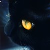 Ȼ֮èèQQͷ(21)_WWW.AIGEXING.COM
