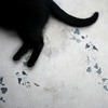 Ȼ֮èèQQͷ(8)_WWW.AIGEXING.COM