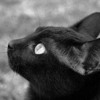Ȼ֮èèQQͷ(22)_WWW.AIGEXING.COM