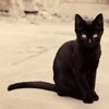 Ȼ֮èèQQͷ(1)_WWW.AIGEXING.COM
