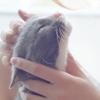 Ȼ֮èèQQͷ(5)_WWW.AIGEXING.COM