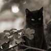 Ȼ֮èèQQͷ(18)_WWW.AIGEXING.COM