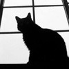 Ȼ֮èèQQͷ(12)_WWW.AIGEXING.COM