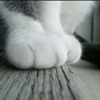 Ȼ֮èèQQͷ(2)_WWW.AIGEXING.COM
