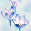 Ψ⾳QQͷ(28)_WWW.AIGEXING.COM