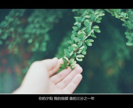 籦ܰϵǩ(1)_WWW.AIGEXING.COM