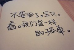 벻ںŮȫ