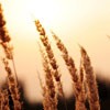 źůķ羰ͷ(3)_WWW.AIGEXING.COM