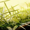 źůķ羰ͷ(35)_WWW.AIGEXING.COM