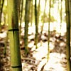 źůķ羰ͷ(9)_WWW.AIGEXING.COM