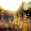 źůķ羰ͷ(34)_WWW.AIGEXING.COM