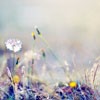 źůķ羰ͷ(23)_WWW.AIGEXING.COM