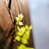 źůķ羰ͷ(26)_WWW.AIGEXING.COM