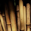 źůķ羰ͷ(11)_WWW.AIGEXING.COM