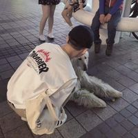 萌猫头像男生头像欧美头像图片大全可爱(8)