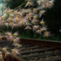 ·ķ羰QQͷ(26)_WWW.AIGEXING.COM