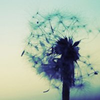 ¿ɰȴʧŵĸͷ(47)_WWW.AIGEXING.COM
