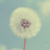 ¿ɰȴʧŵĸͷ(49)_WWW.AIGEXING.COM