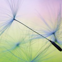 ¿ɰȴʧŵĸͷ(48)_WWW.AIGEXING.COM