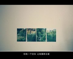 20Ϧ˽˸иǩ